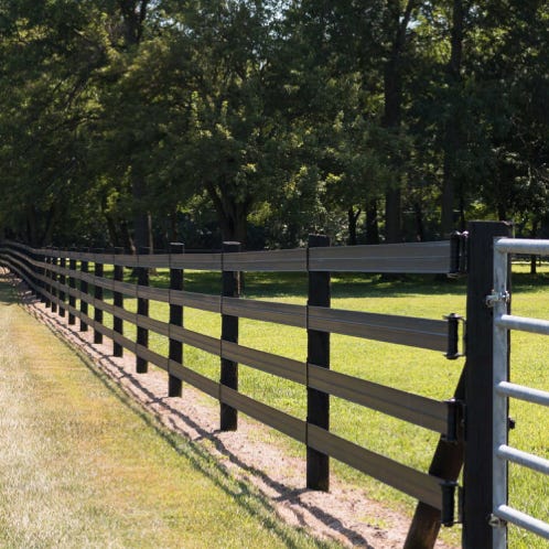 Elegant black horse roaming in a lush green pasture near a white fence, Sevierville, TN.